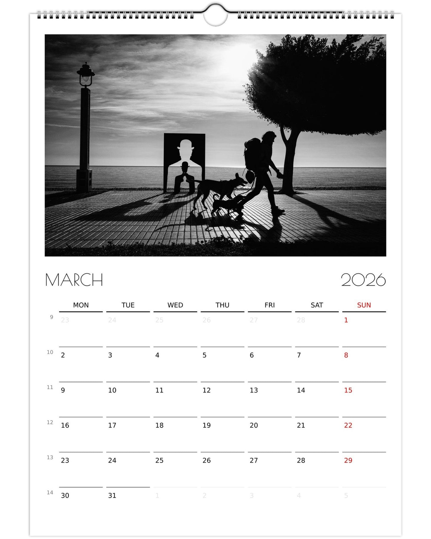 799246da-8629-4c0b-8088-25cd1c034ef5